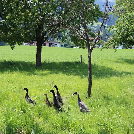 公寓 Gasteighof-2 By Interhome